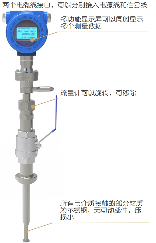 DN65熱式氣體質(zhì)量流量計結構圖